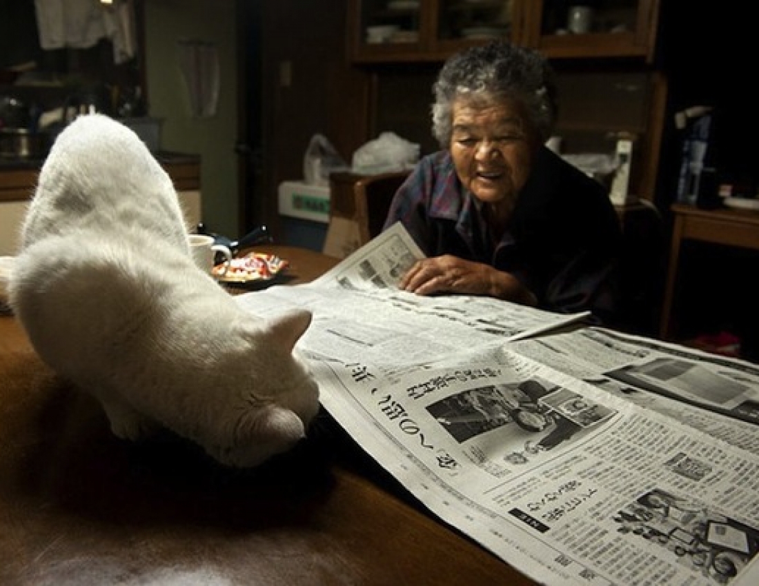 Старенька і кіт
