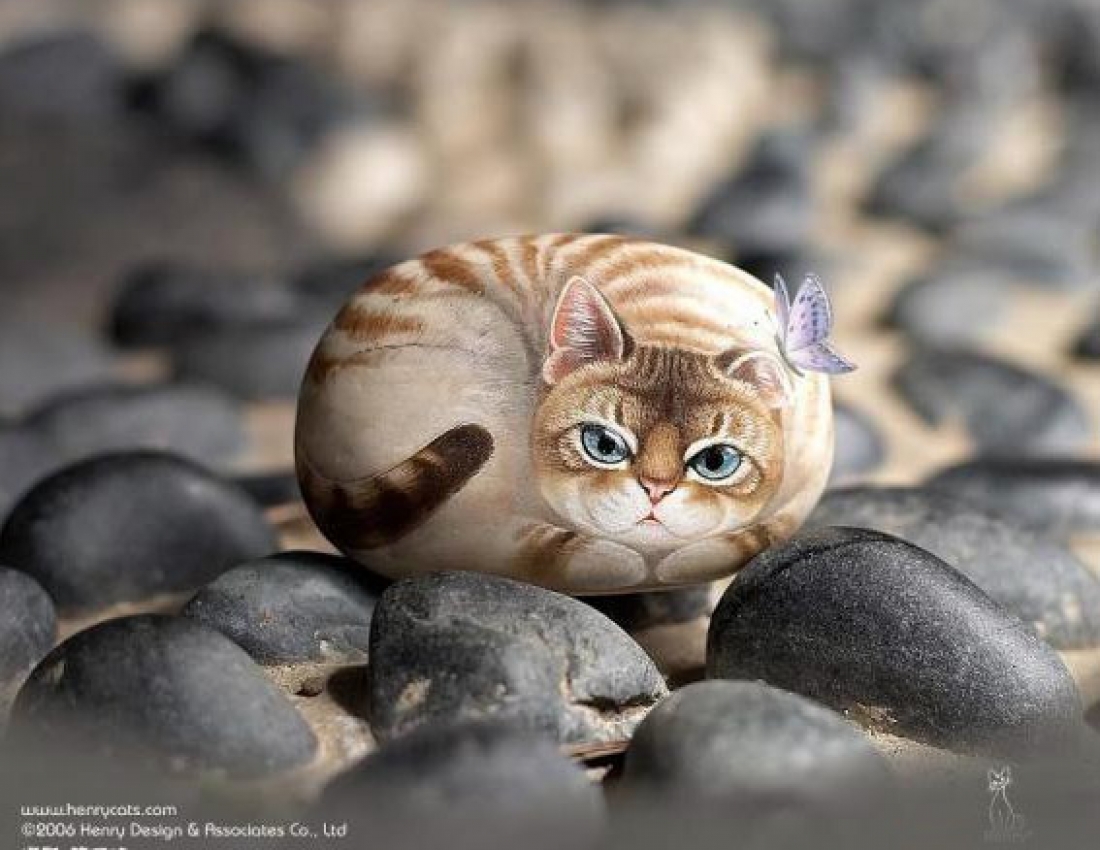 Як оживає каміння ...