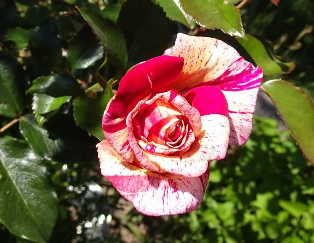 Ніяке ВВП не може змінити краси нашого світу! Гарного Вам дня!