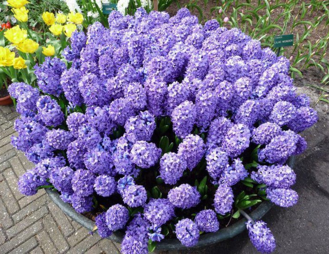 Світ, в якому ти живеш