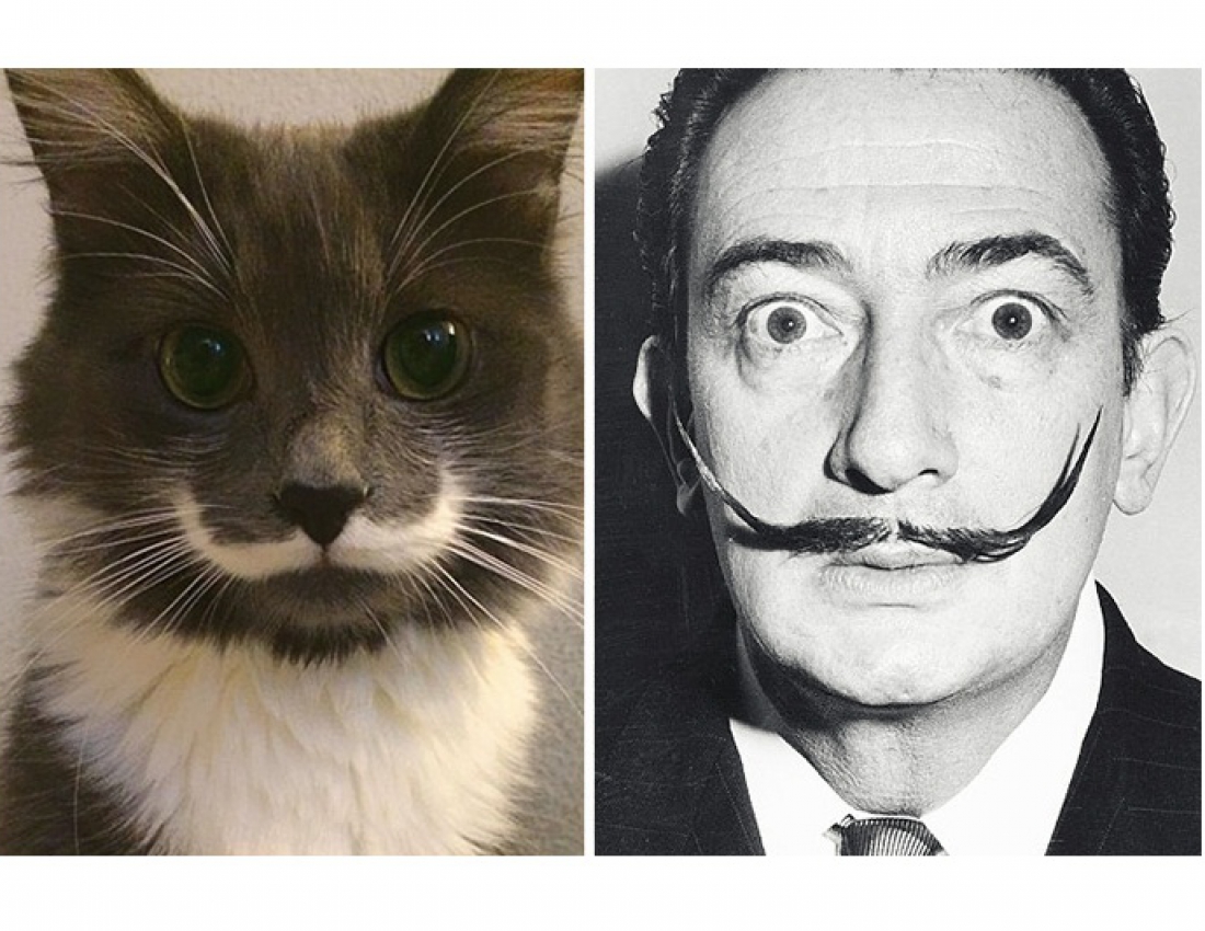 Дивовижна схожість ... :-)