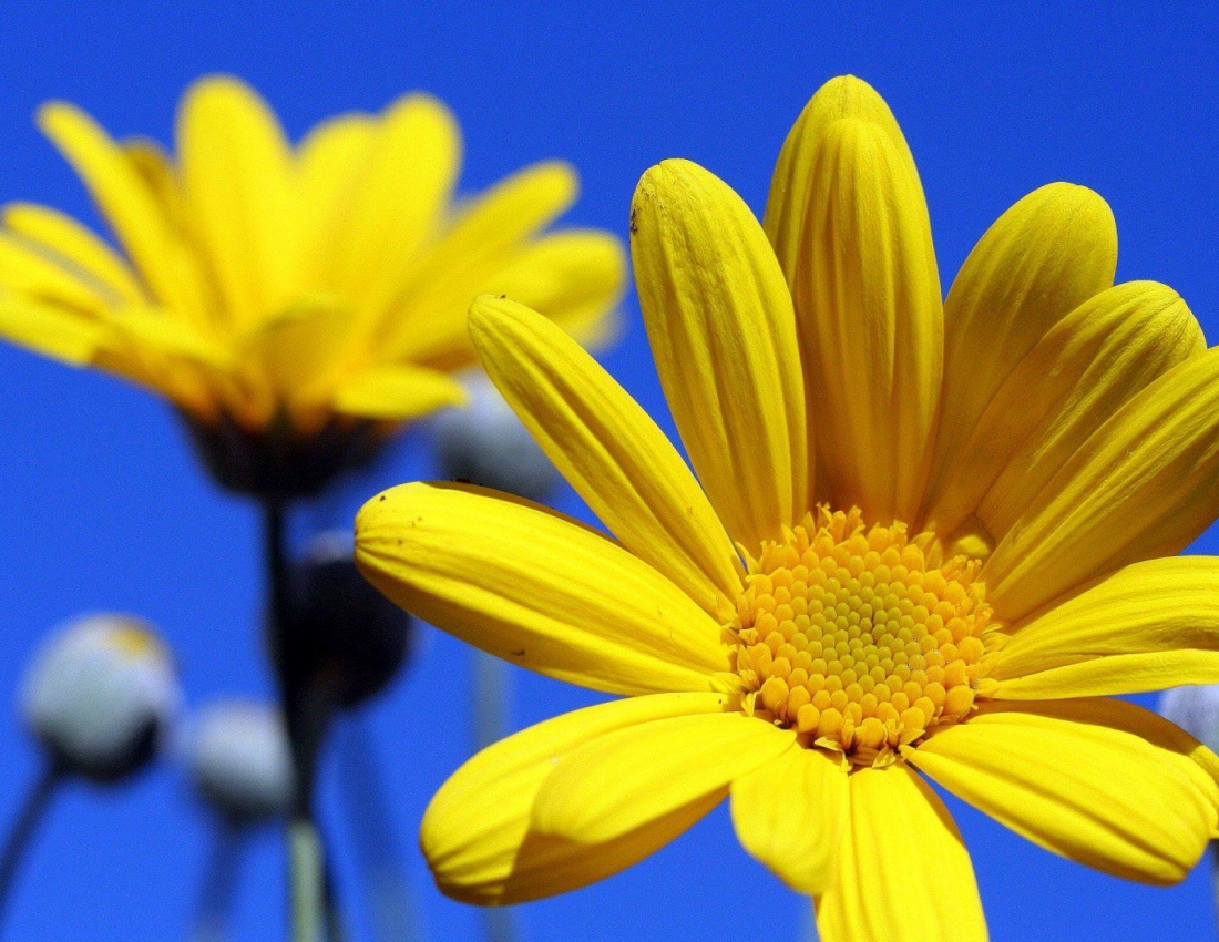 А день - мов казка: у ньому всі переливи сонця!