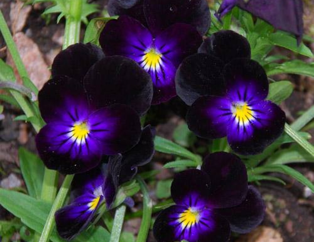 Світ, в якому ти живеш - 2