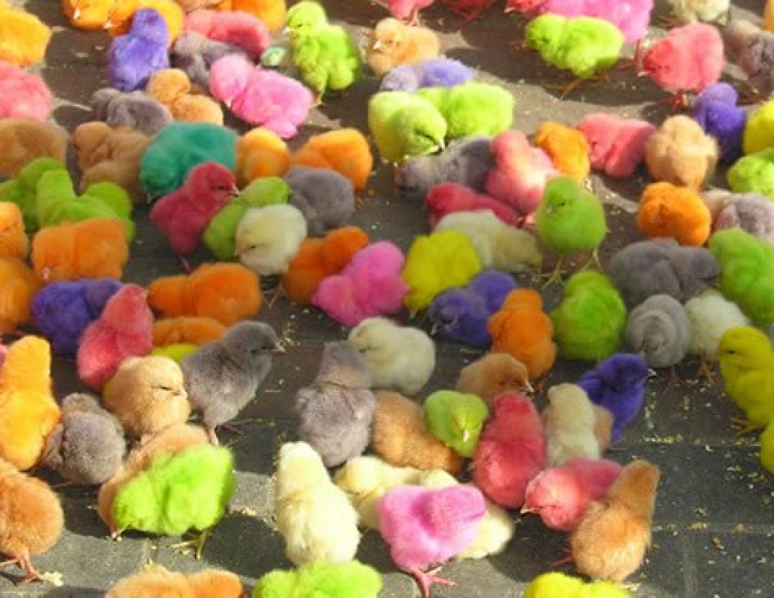 A very colourful morning to you!