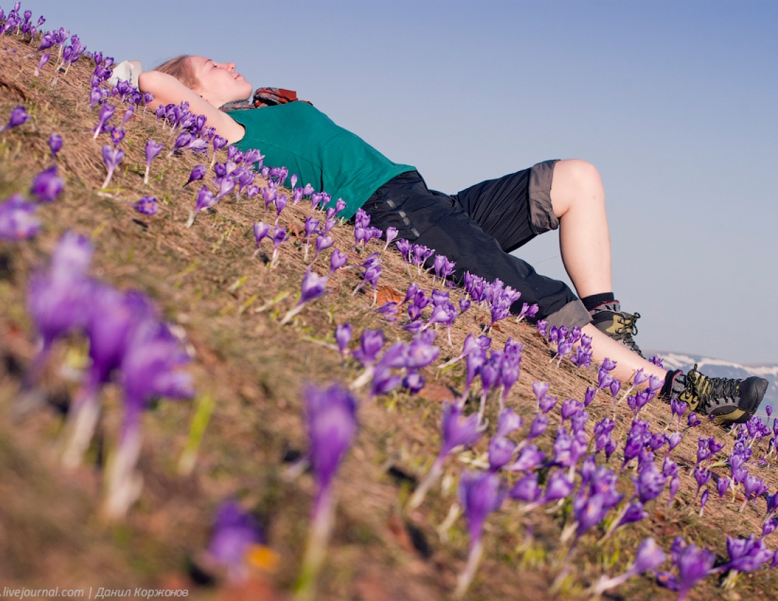 Ви бачили це диво з див???
