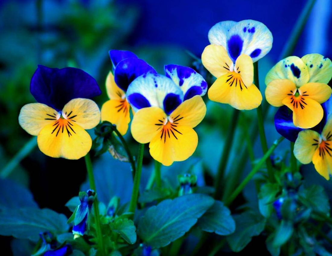 Be cheerful and optimistic!