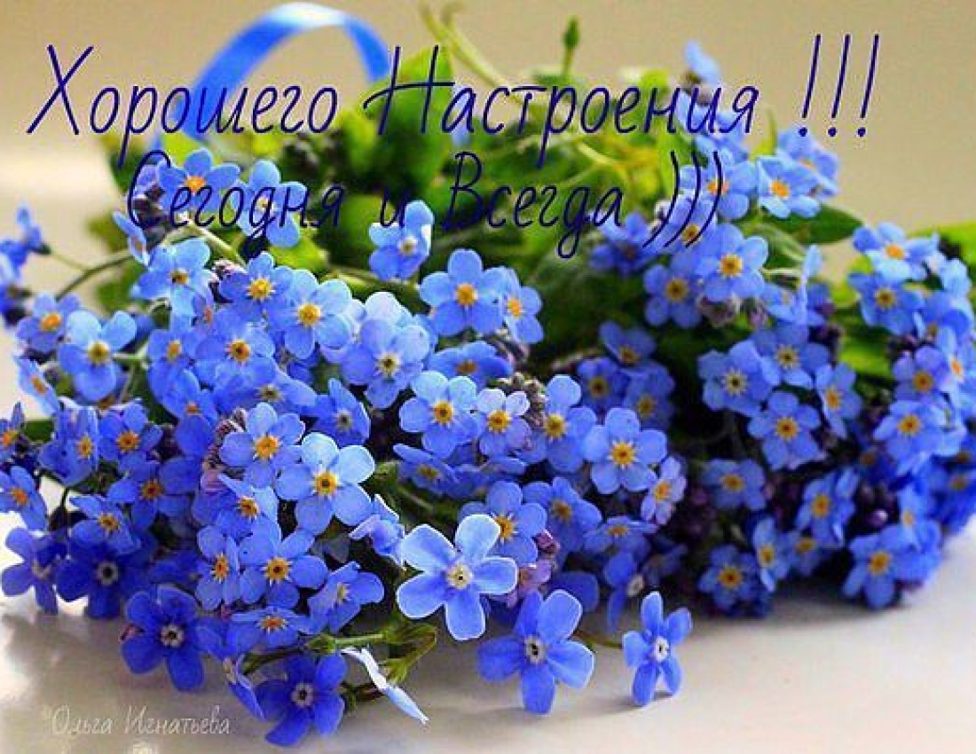 И сегодня, и всегда будьте в прекрасном настроении!