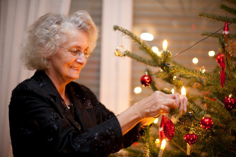 ФОТО ТИЖНЯ - 26.12.2016р.