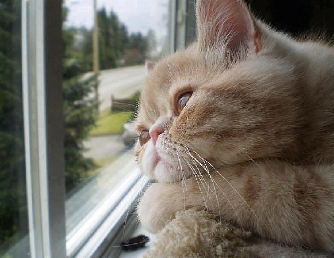 Цікавий світ природи - 3