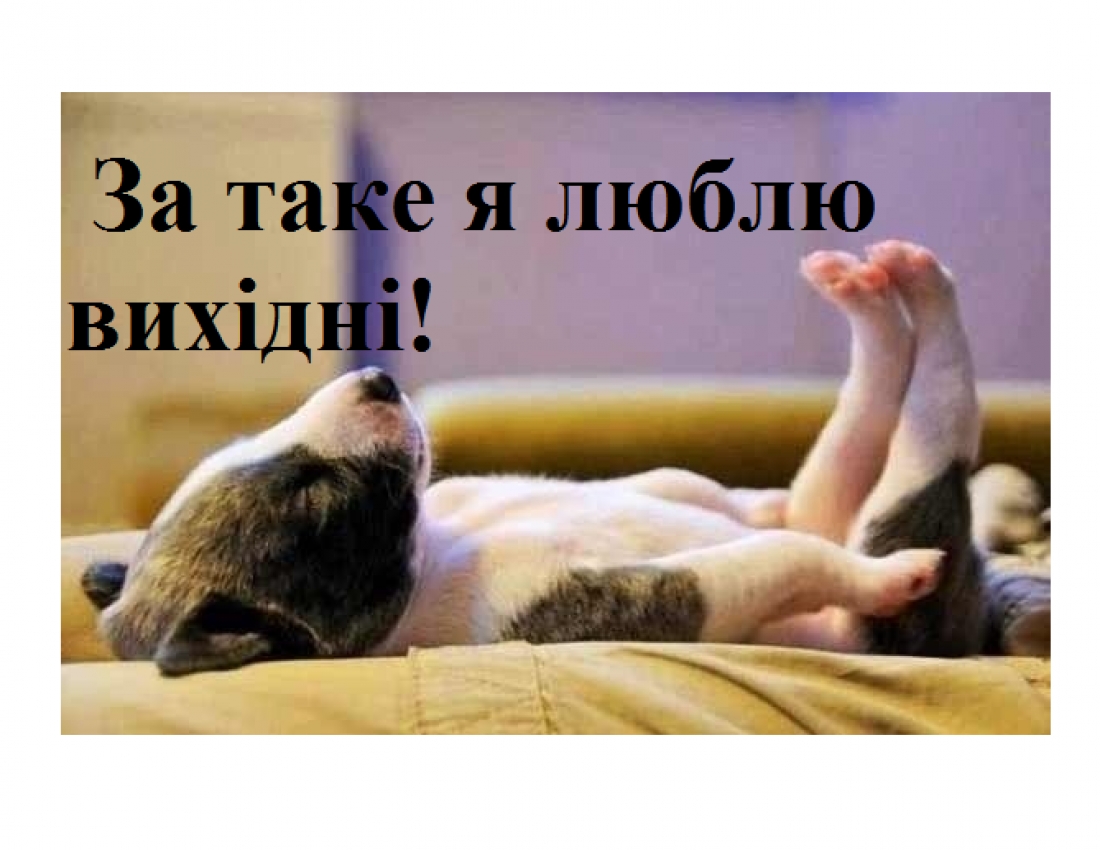 За що ми любимо неділю?!..
