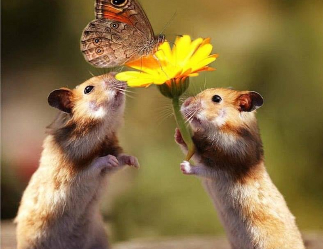 Цікавий світ природи - 3