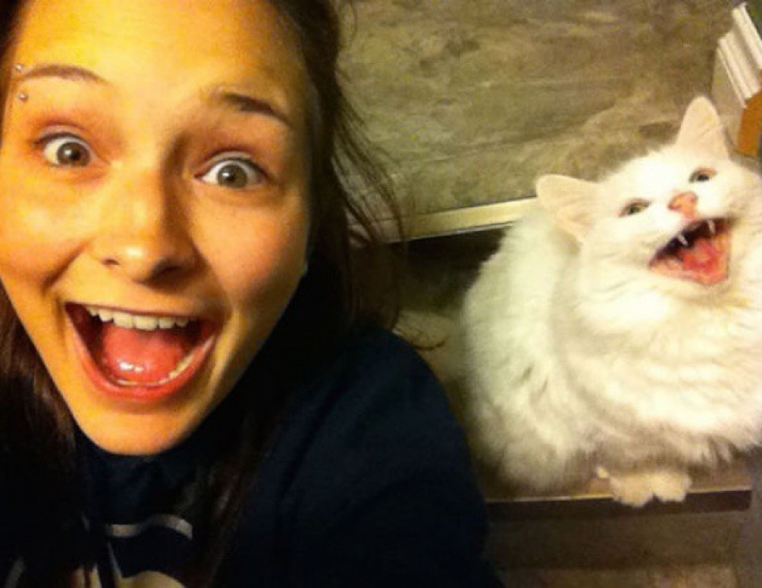 Брати наші менші... :-)