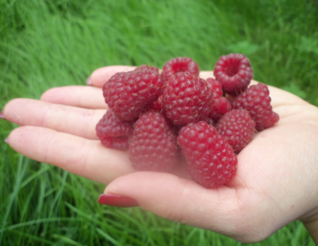 Вітамінне підкріплення. Уже зовсім СКОРО!!!