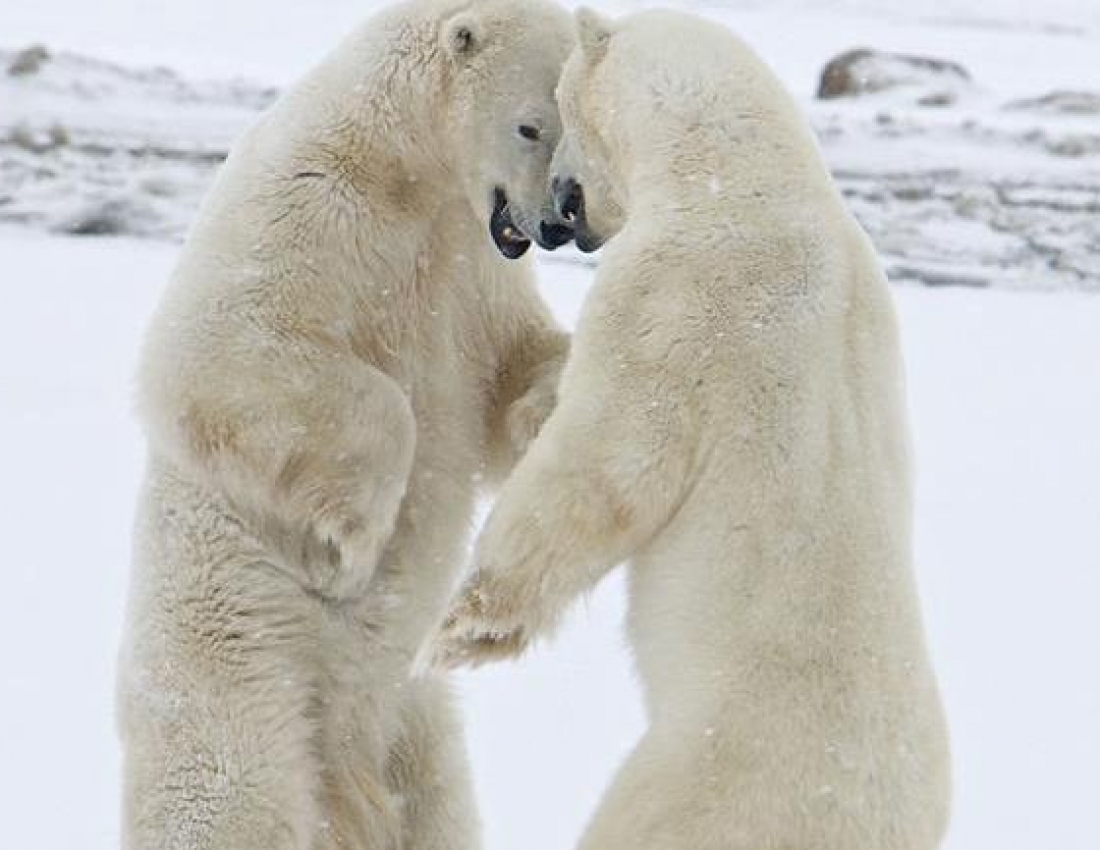 Цікавий світ природи-2
