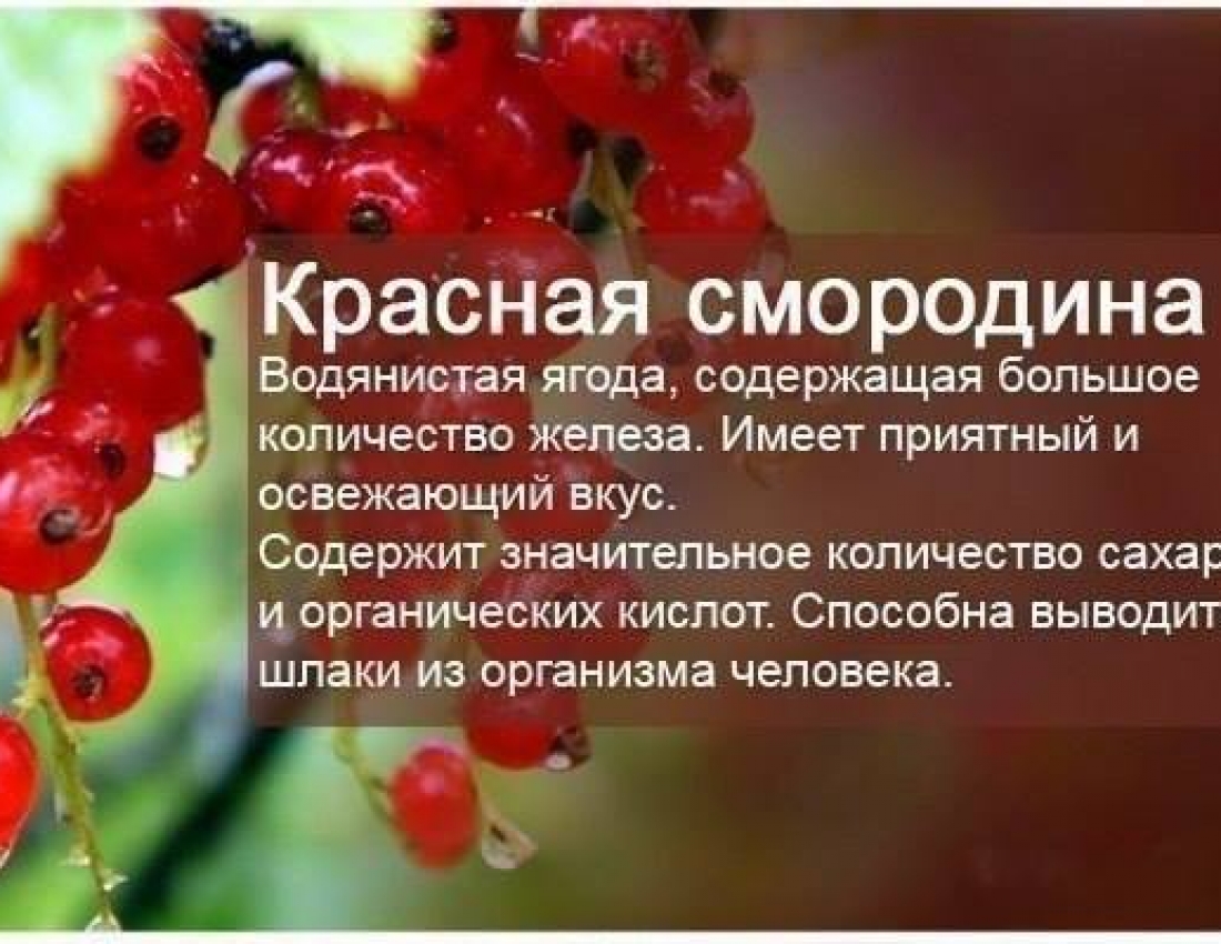 Фруктова абетка