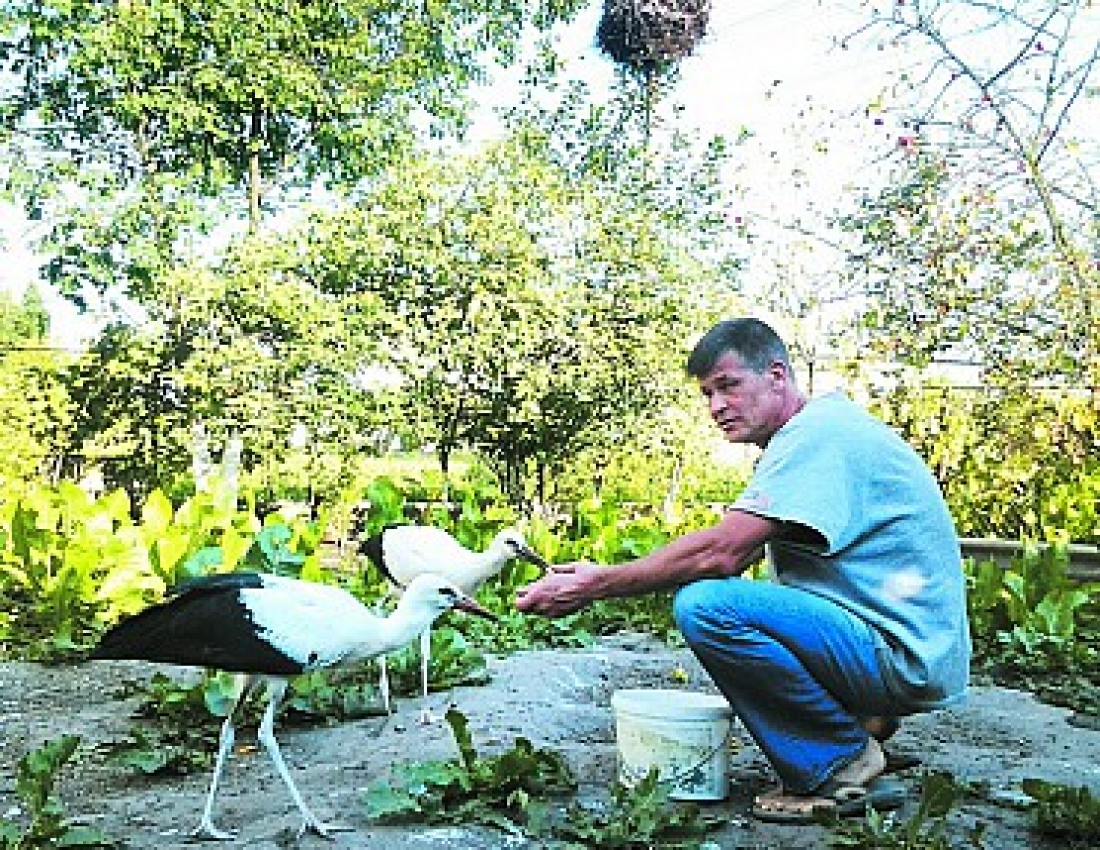 Лелеча моя Україна