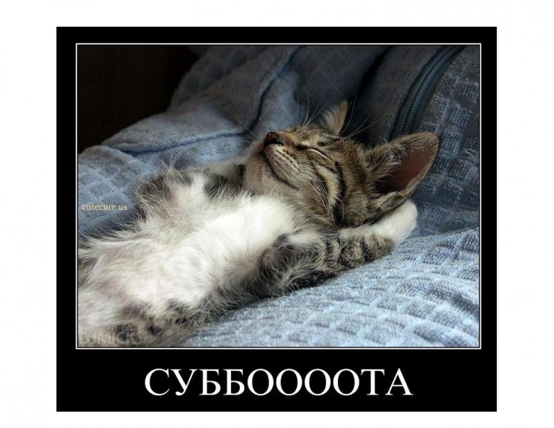 Проведите субботу с удовольствием!!! Проведите субботу с удовольствием!!!