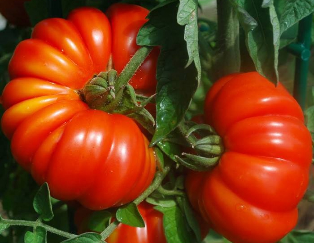 Світ, в якому ти живеш - 2