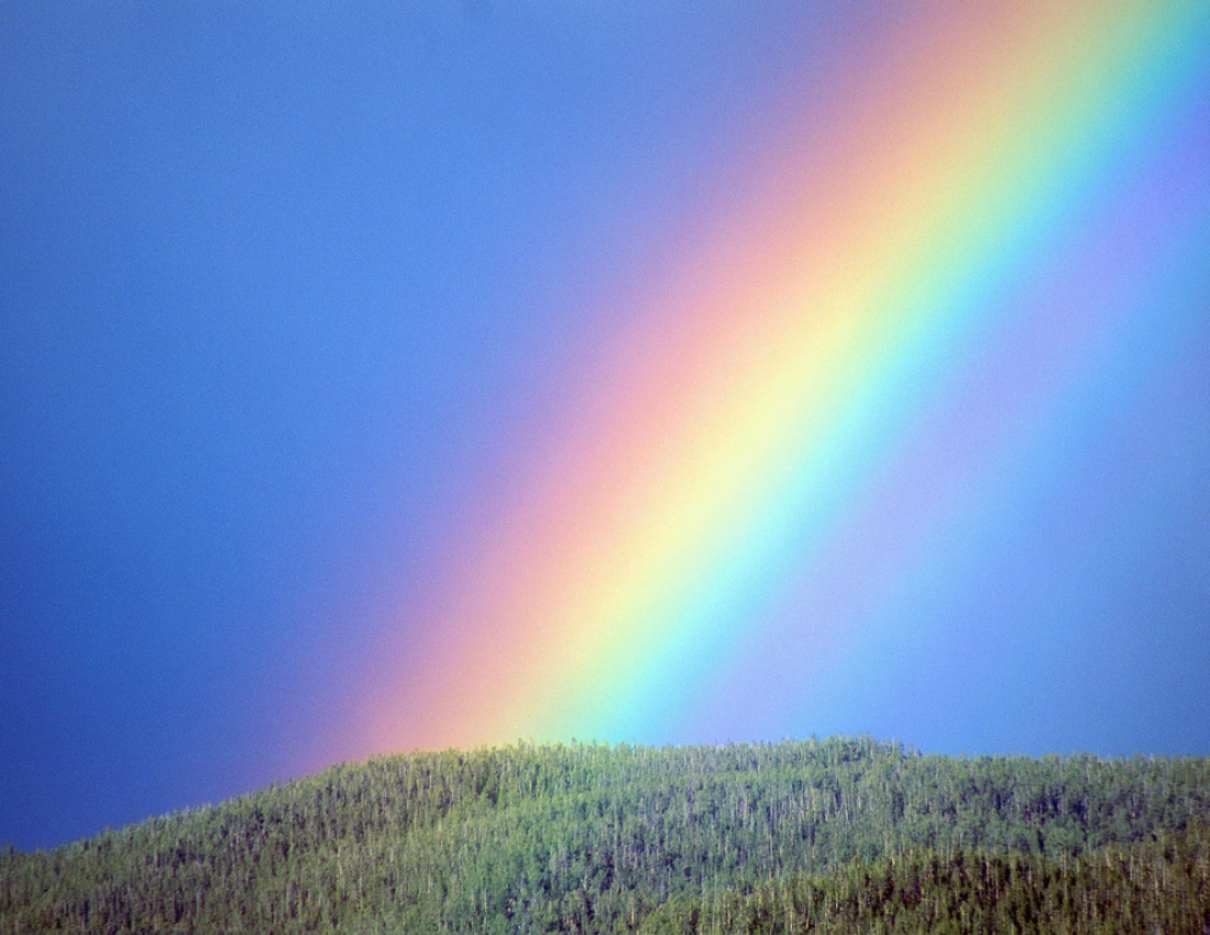 Радість після грози