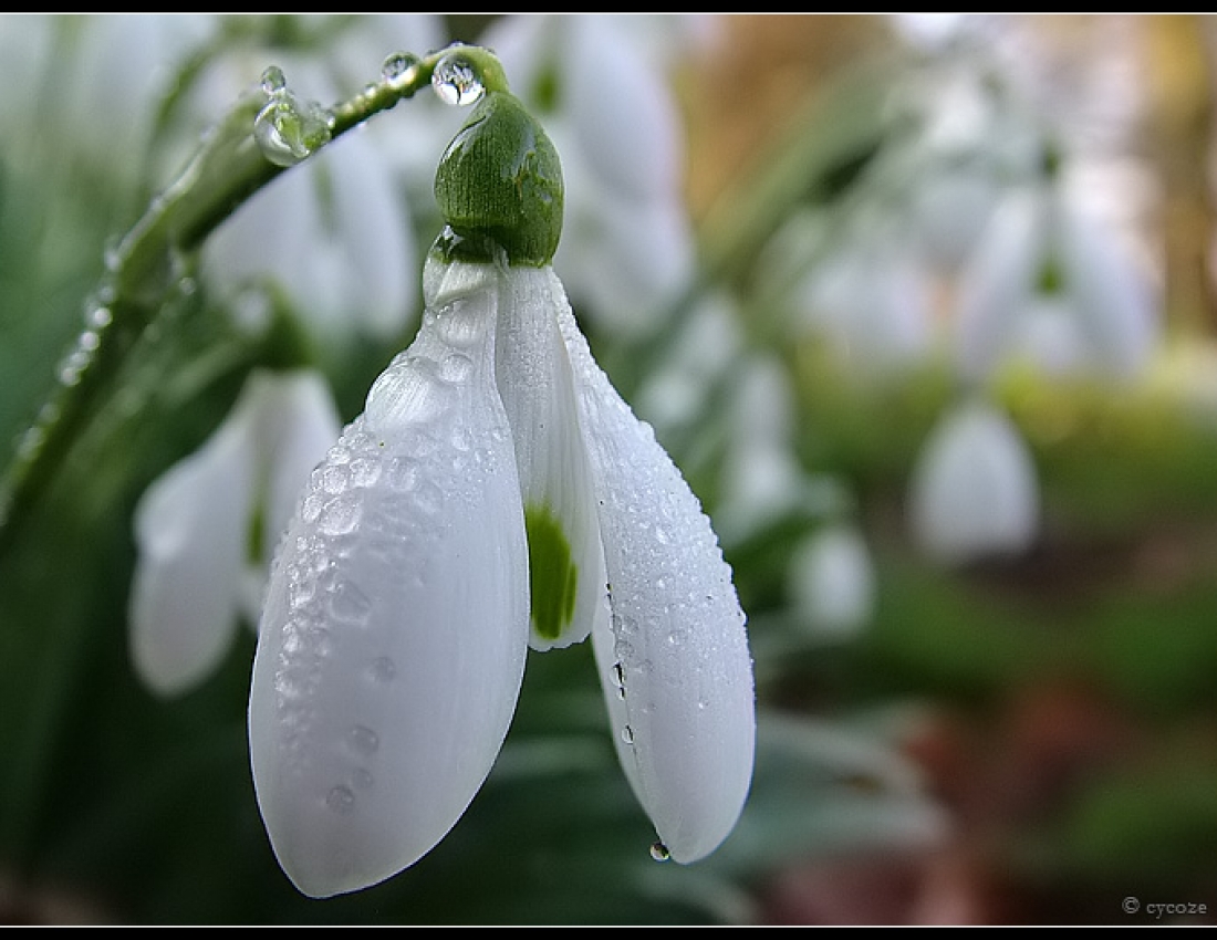 Freshness, harmony and colour - all for our good mood