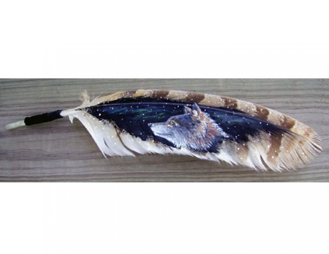 Дивовижний живопис на лебединому пір&#039;ї