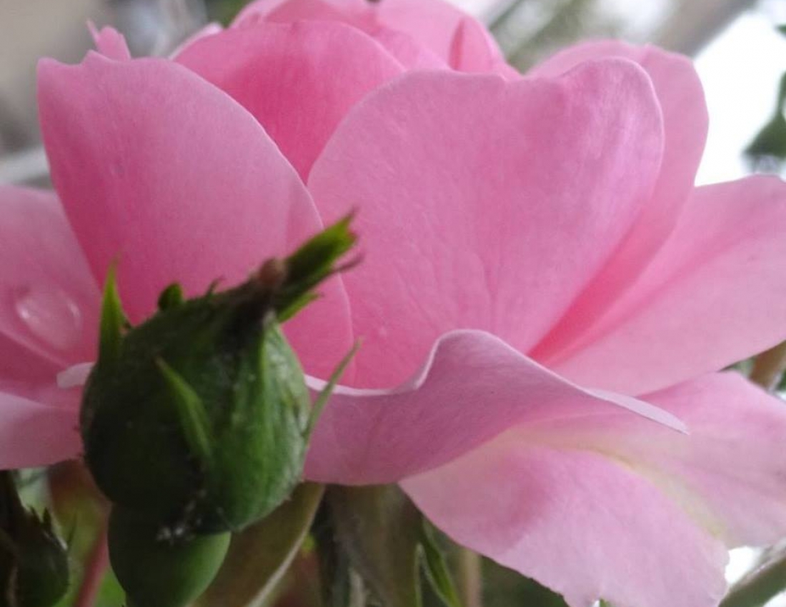 Ніяке ВВП не може змінити краси нашого світу! Гарного Вам дня!