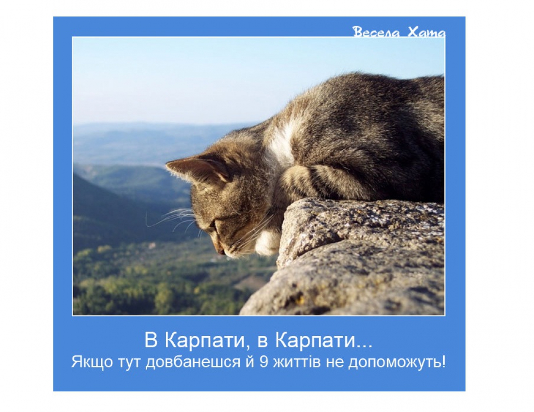 Карпати ! Карпати !