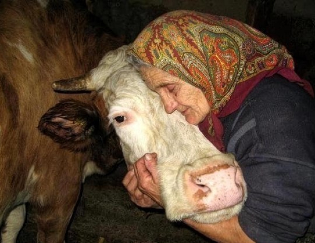 Коли тварини більше, ніж друзі ...