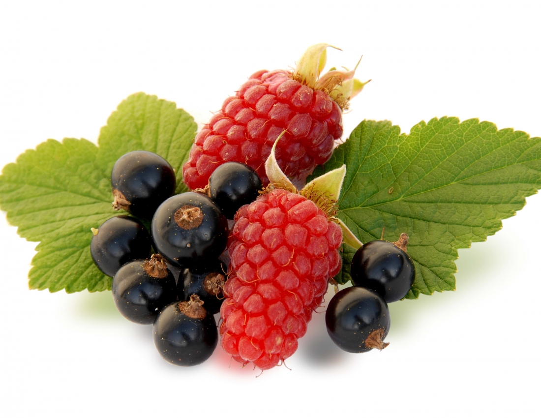 Вітамінне підкріплення. Уже зовсім СКОРО!!!