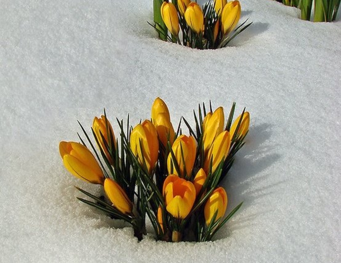 Світ, в якому ти живеш - 3