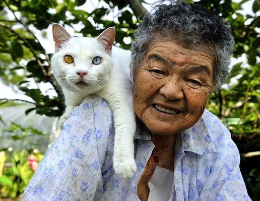 Старенька і кіт
