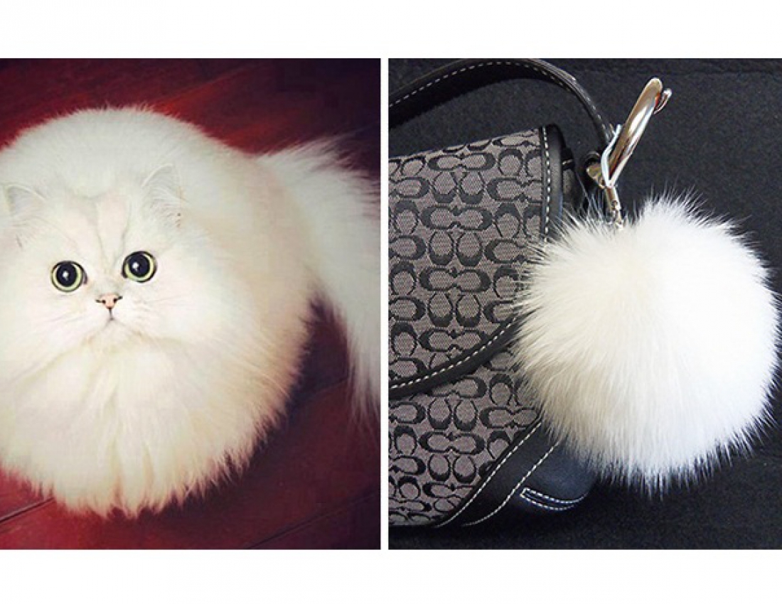 Дивовижна схожість ... :-)