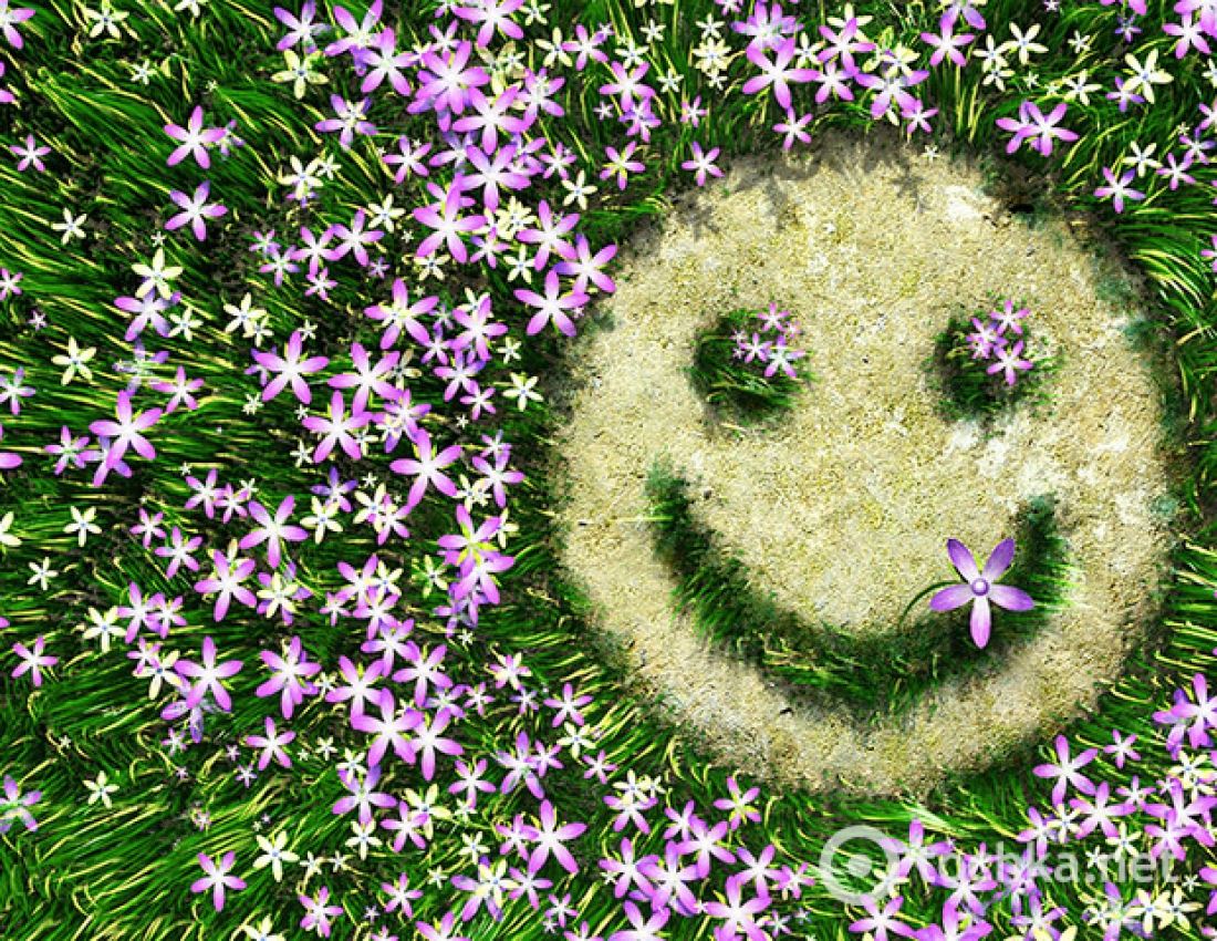 З Днем сміху!!!