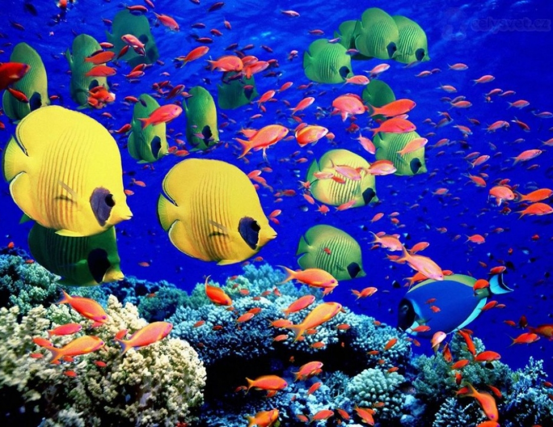 Місця на планеті, де природа не пожалкувала фарб