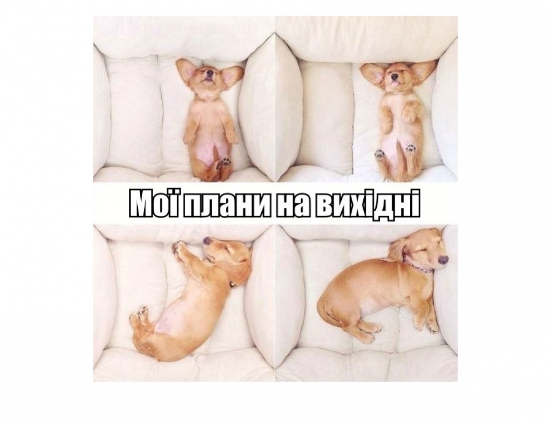 Мої плани на вихідні...))))))))