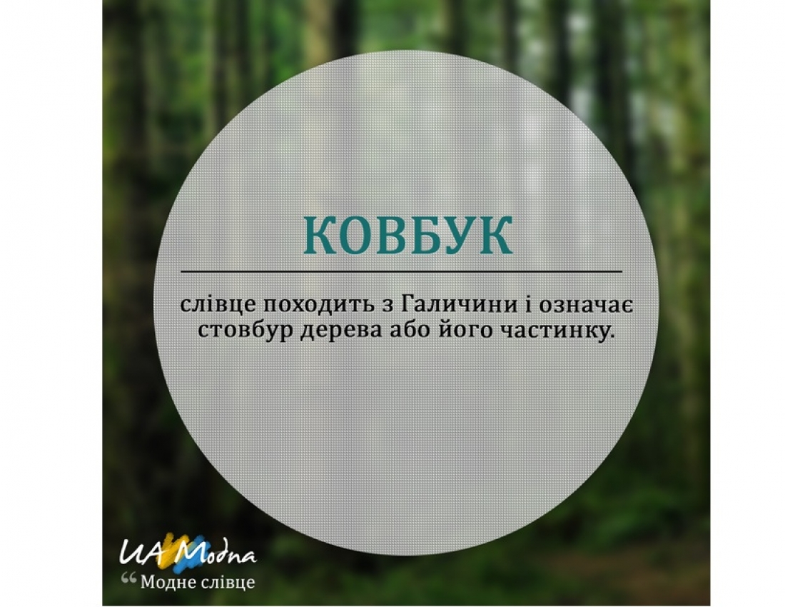 Яка прекрасна РІДНА мова!