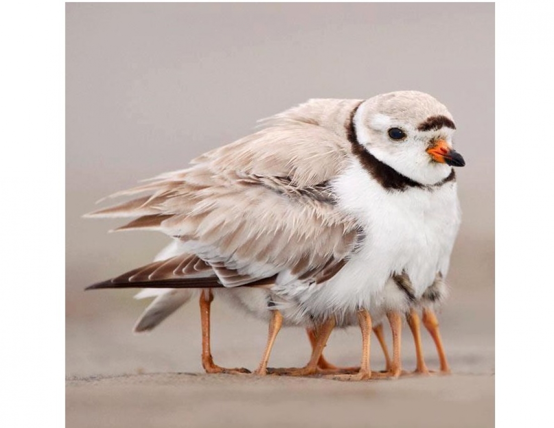 Та, кого не можна не любити... МАМА...
