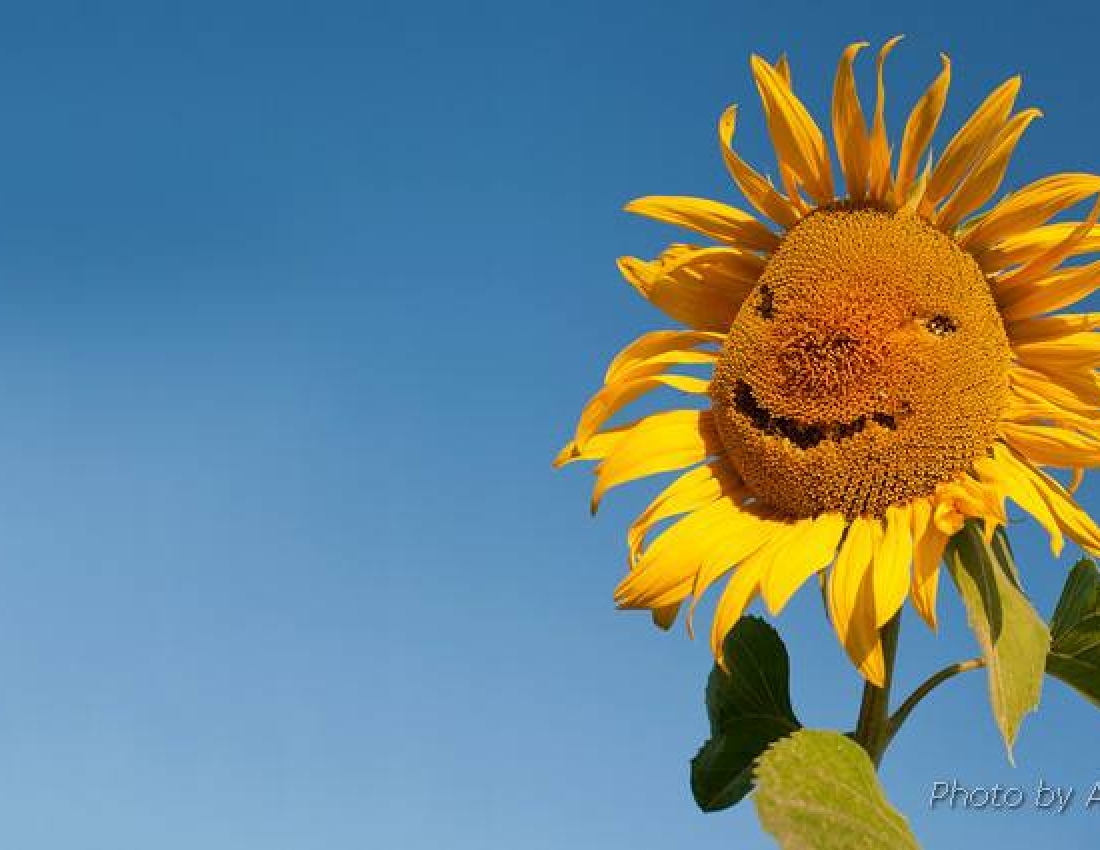 Світ, в якому ти живеш - 3