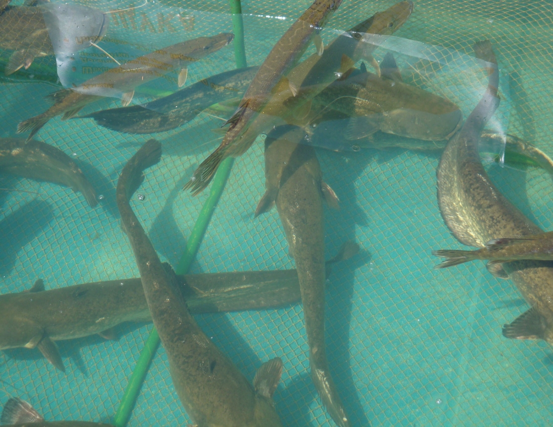 Риболовля - це частина життя