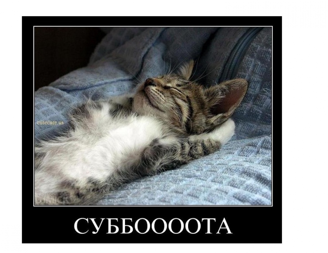 Суббота-лучший день недели!