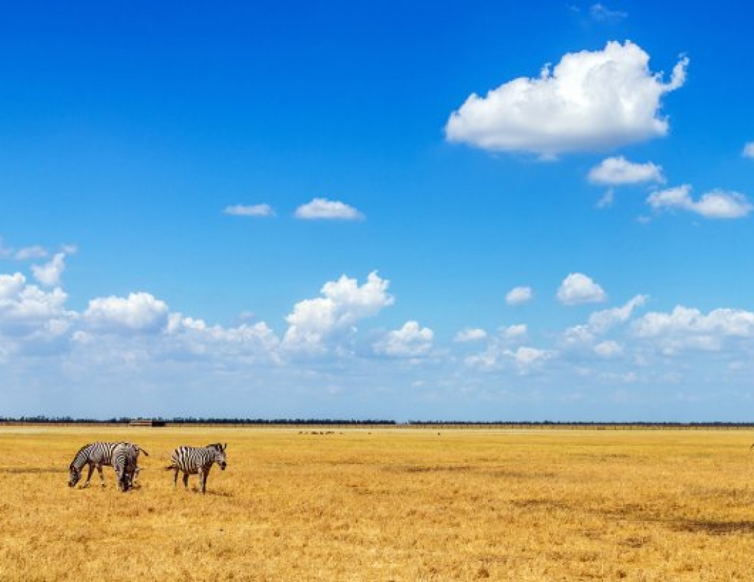 Блакитно-жовта та Жовто-блакитна краса нашого світу!