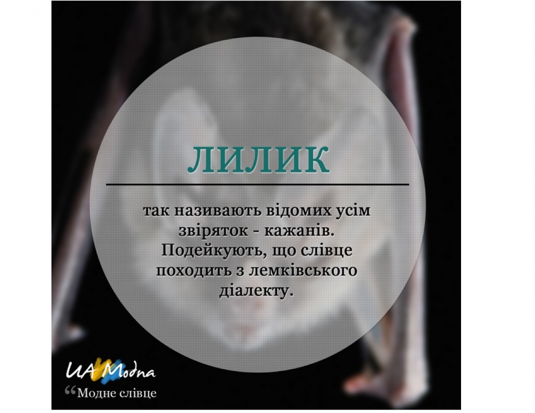 МОДНЕ СЛІВЦЕ. Частина 1