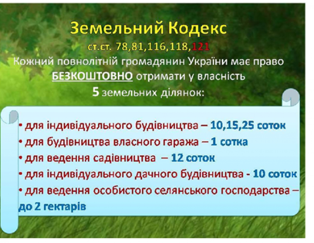 Land Code guarantees 5 plots for each person of the full legal age