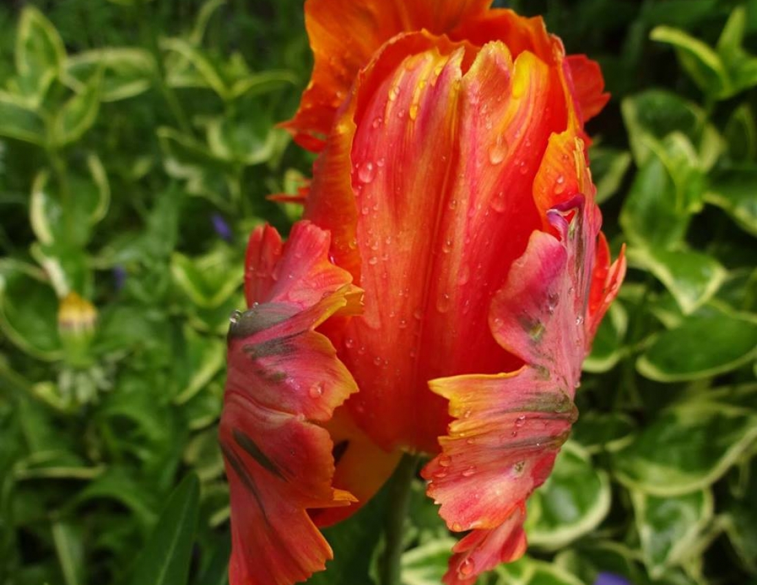 Ніяке ВВП не може змінити краси нашого світу! Гарного Вам дня!