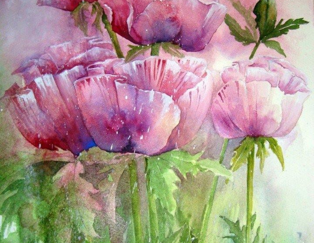 Маки... Квіти нашого мирного життя