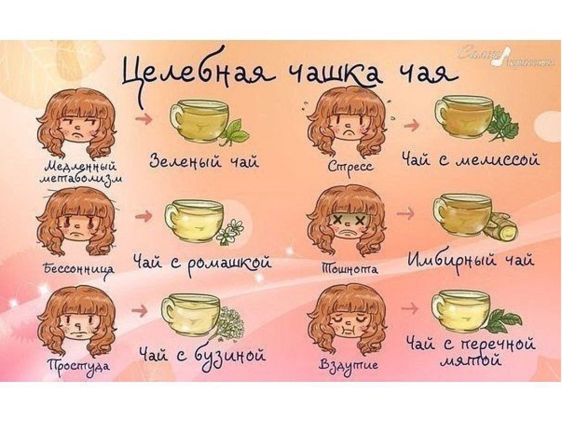 Целебная чашка чая Целебная чашка чая