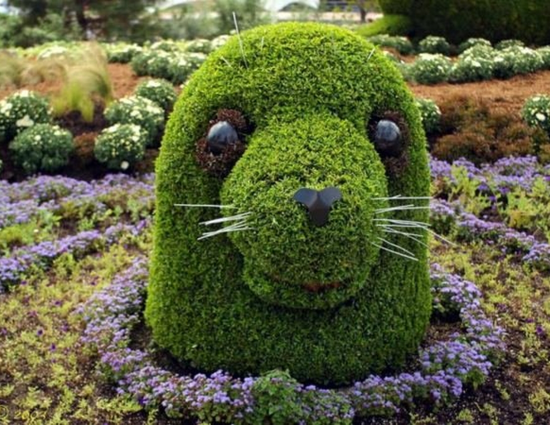 Топіарне мистецтво - це вражає!