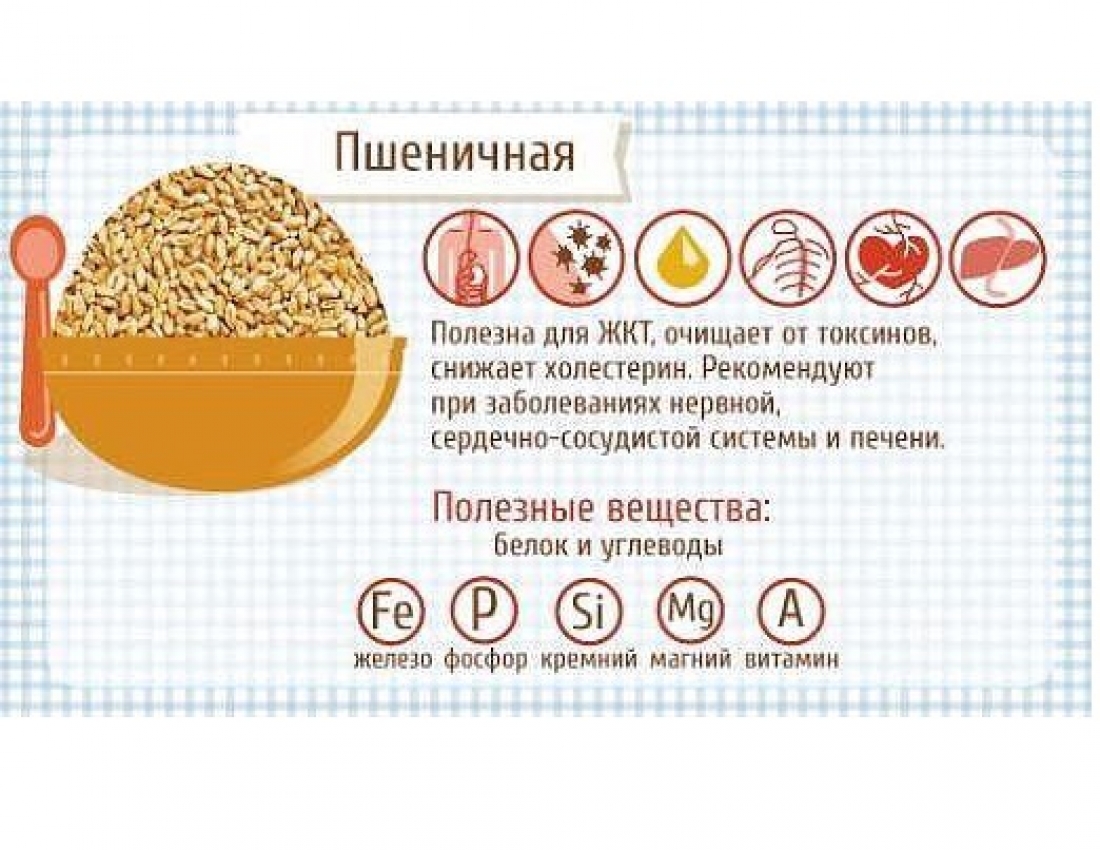 Розумна абетка!!! Усе про крупи