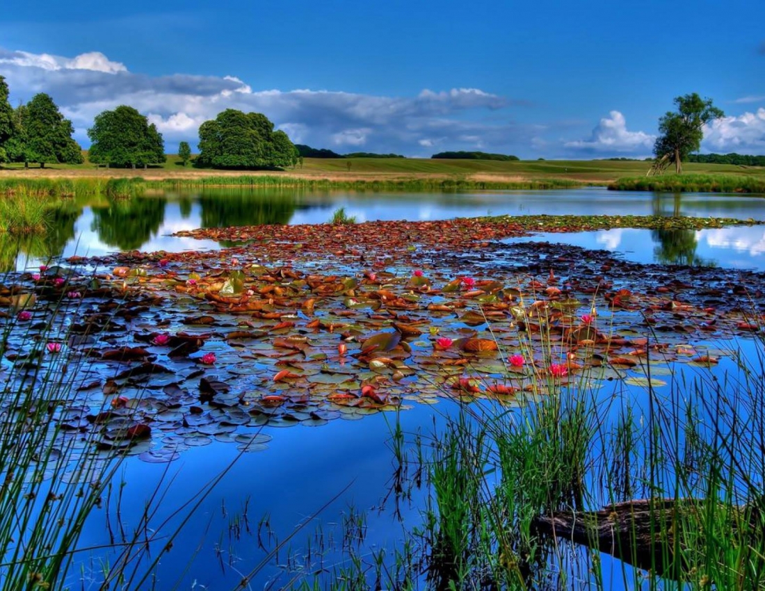 З літечком!!!