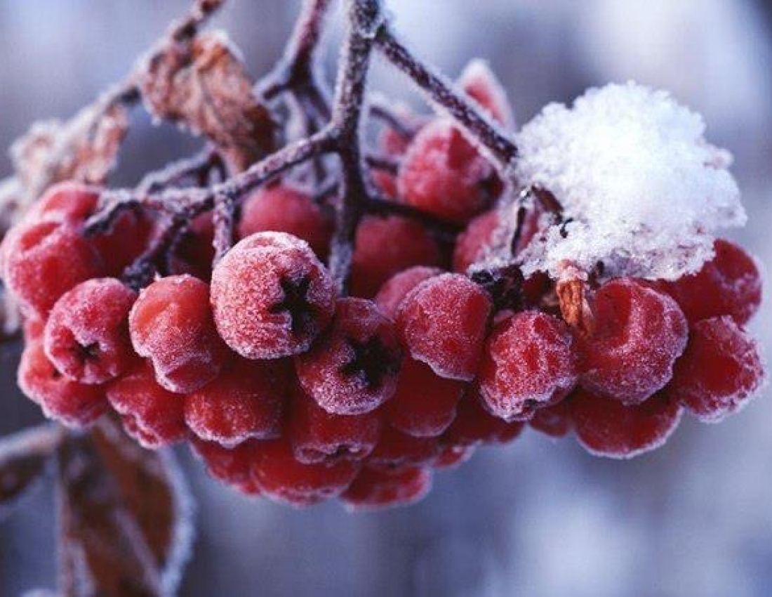 Світ, в якому ти живеш